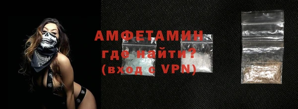сатива Бородино