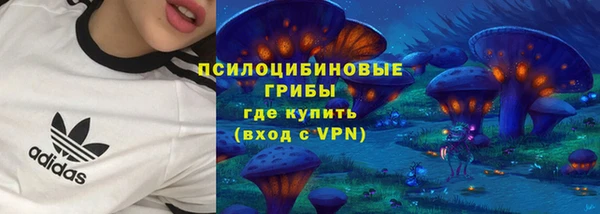 сатива Бородино