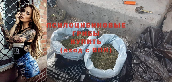 винт Бронницы
