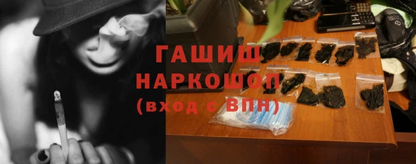 сатива Бородино