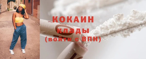 сатива Бородино