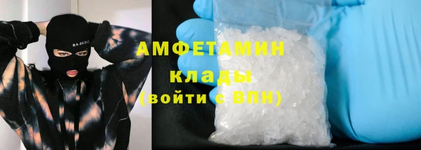 сатива Бородино