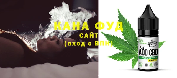 сатива Бородино
