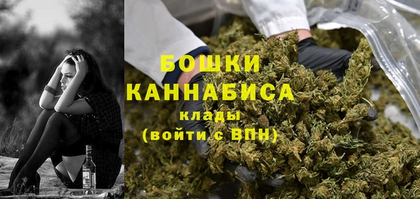 сатива Бородино