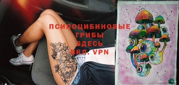 винт Бронницы