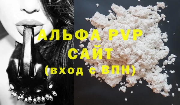сатива Бородино