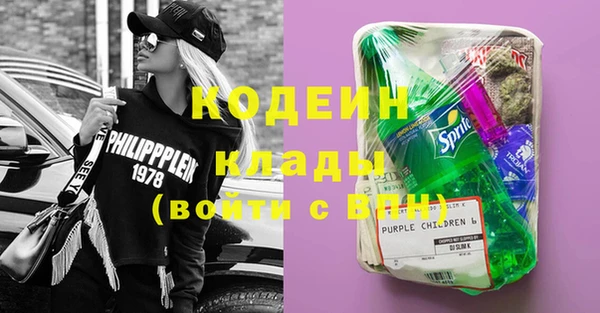 сатива Бородино