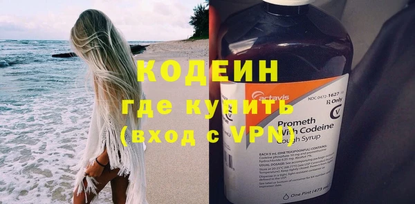 сатива Бородино