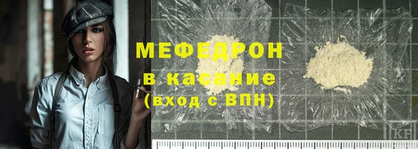 сатива Бородино