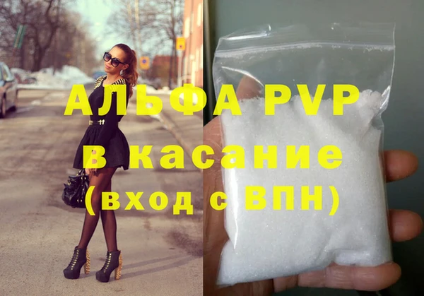 сатива Бородино