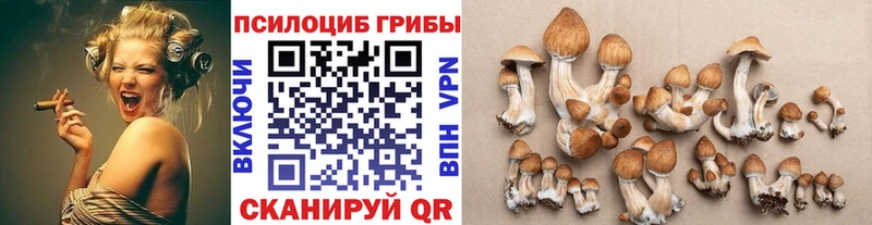Псилоцибиновые грибы мицелий Купить Волгореченск